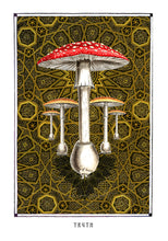 Load image into Gallery viewer, TRUTH- Psychedelic poster Amanita muscaria