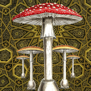 WAHRHEIT - psychedelisches Kunstplakat Amanita muscaria